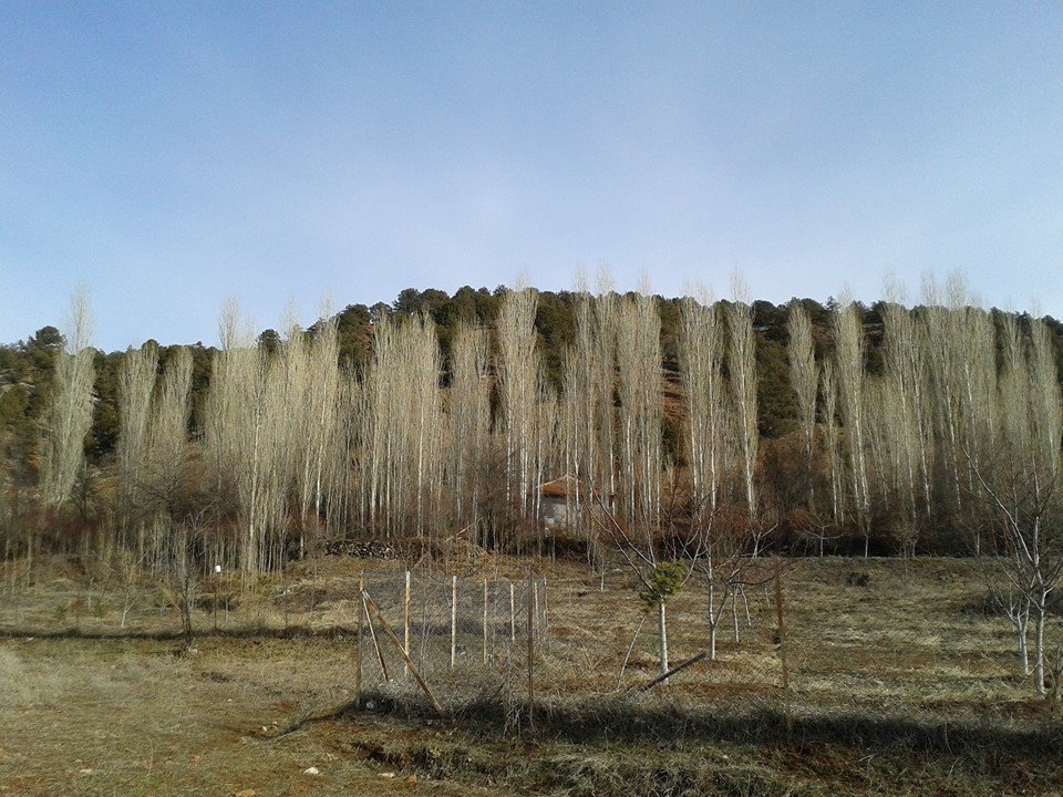Seydikemer Bekçiler Köyü Resimleri 10