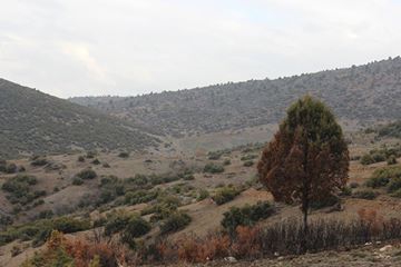 Beyşehir Şamlar Köyü Resimleri 4