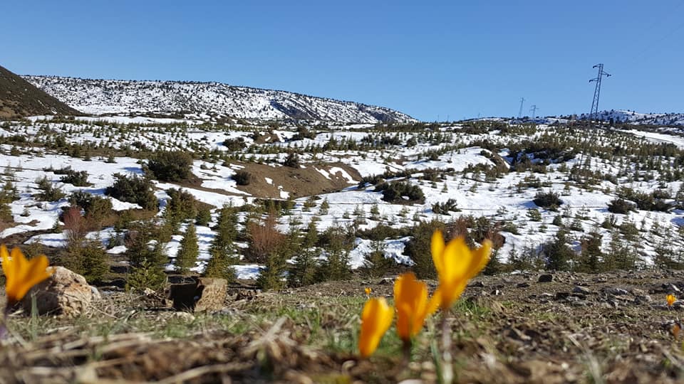 Beyşehir Şamlar Köyü Resimleri 5