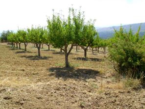 Bozkır Akçapınar Köyü Resimleri 2