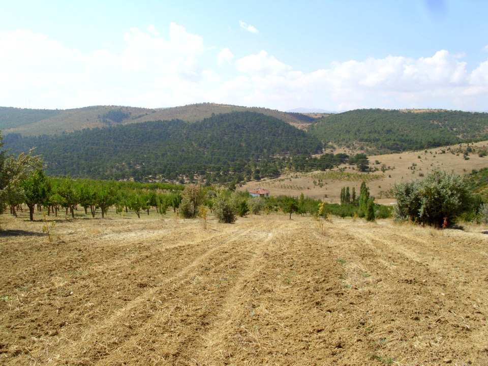 Bozkır Akçapınar Köyü Resimleri 8