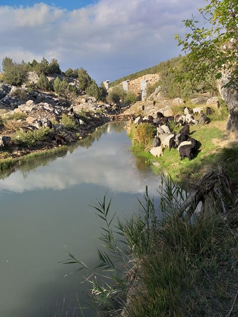 Seydikemer Boğalar Köyü Resimleri 1