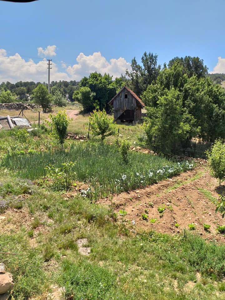 Seydikemer Çaltılar Köyü Resimleri 3