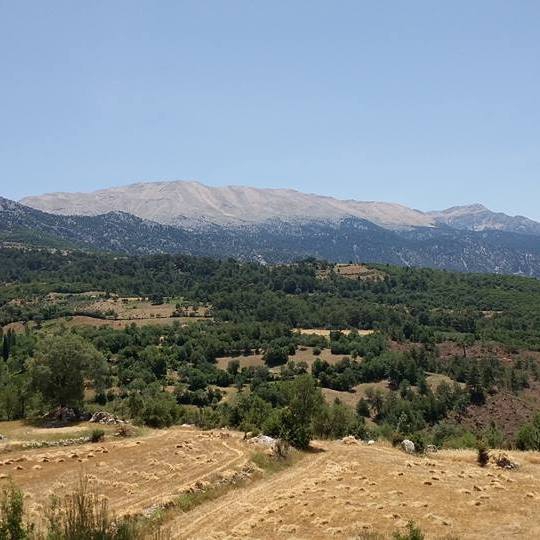 Seydikemer Çatak Köyü Resimleri 3