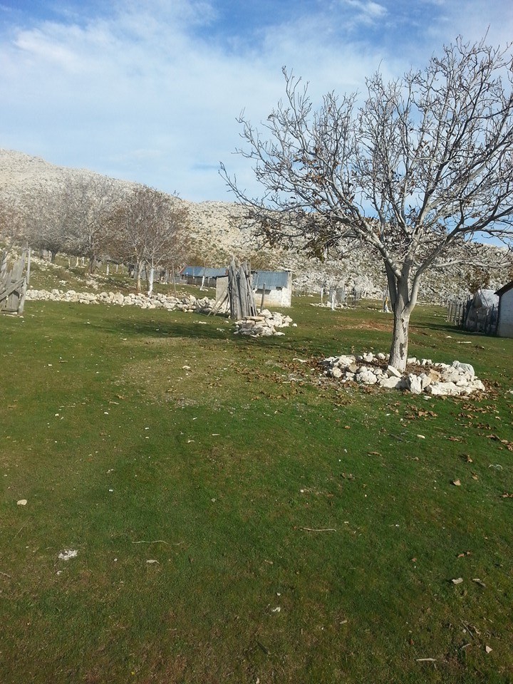 Seydikemer Çayan Köyü Resimleri 11