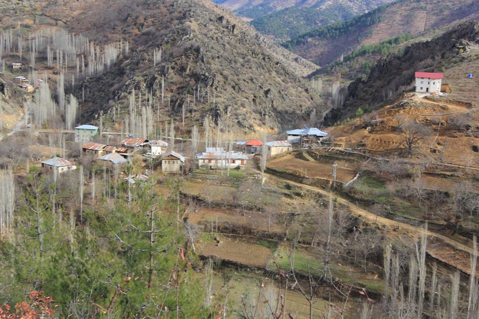 Adana Feke Gedikli Köyü Resimleri 15