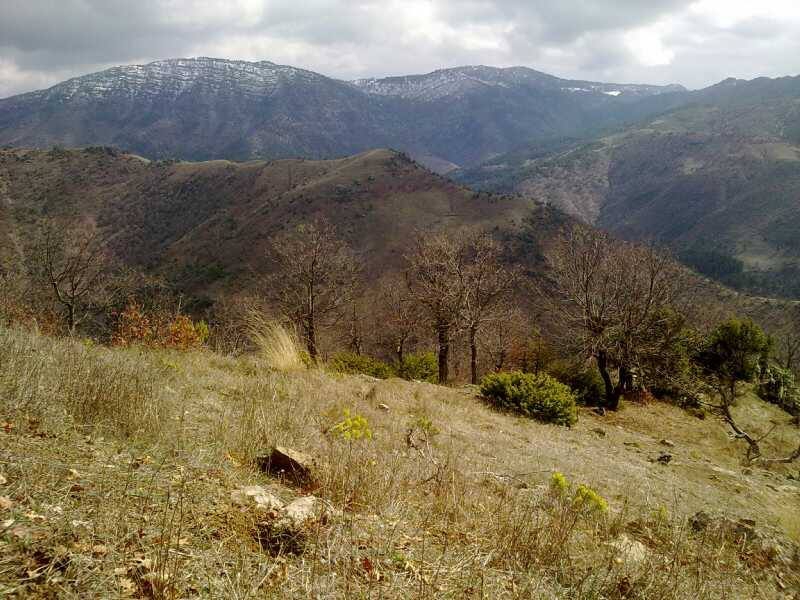 Adana Feke Gedikli Köyü Resimleri 19