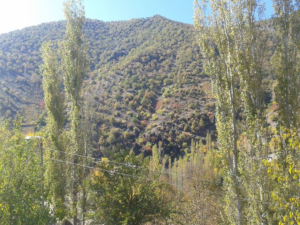 Adana Feke Gedikli Köyü Resimleri 39