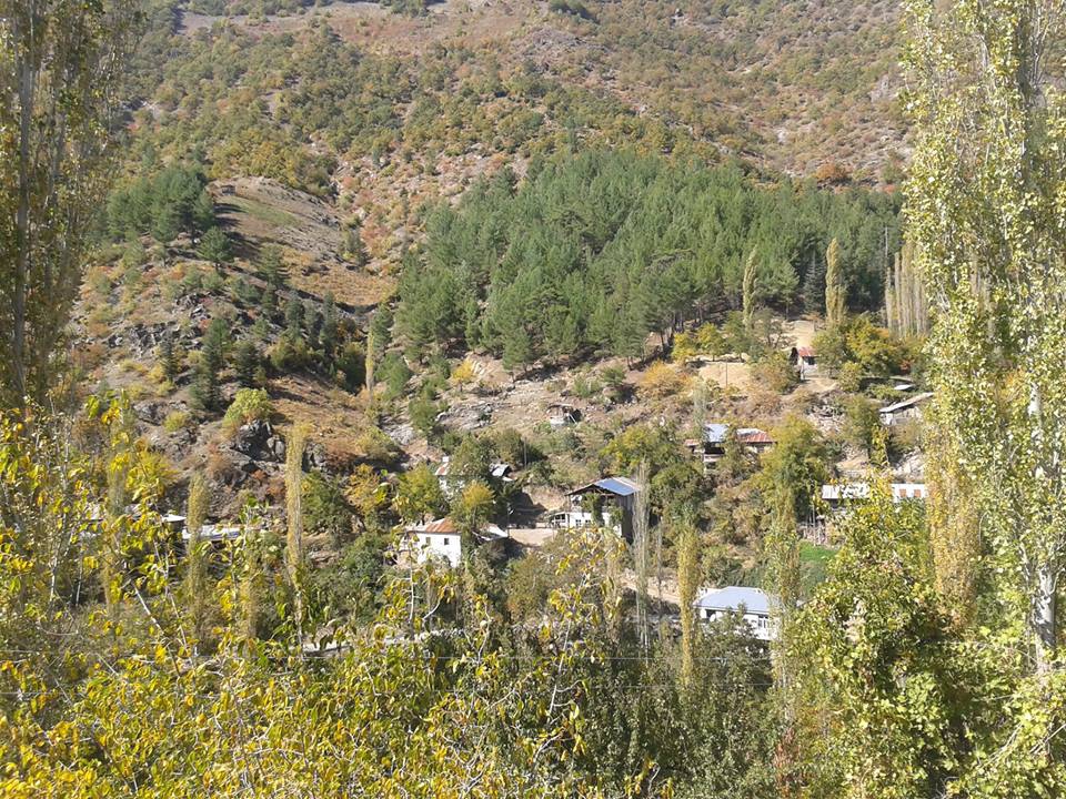 Adana Feke Gedikli Köyü Resimleri 40