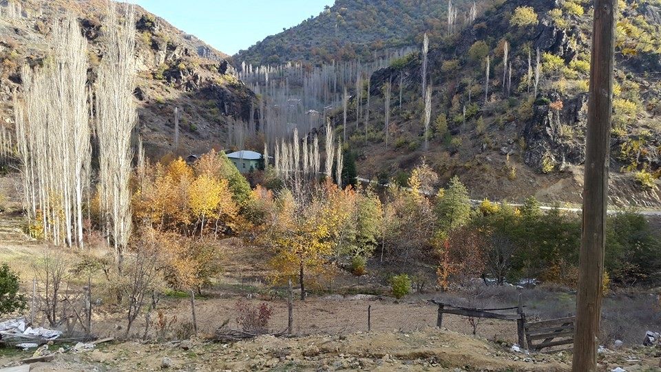 Adana Feke Gedikli Köyü Resimleri 7