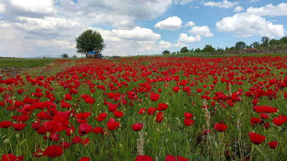 Bozkır Armutlu Köyü Resimleri 10