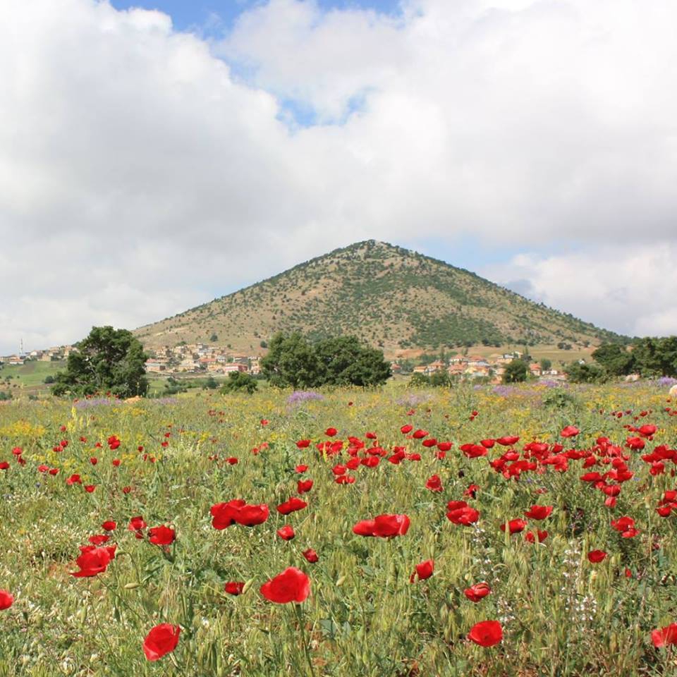 Bozkır Armutlu Köyü Resimleri 6