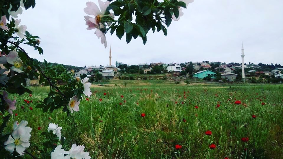 Bozkır Yelbeği Köyü Resimleri 4