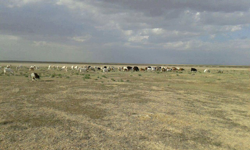 Cihanbeyli Gölyazı Köyü Resimleri 6