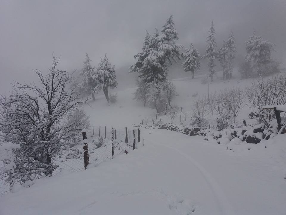 Adana Feke Gürümze Köyü Resimleri 1
