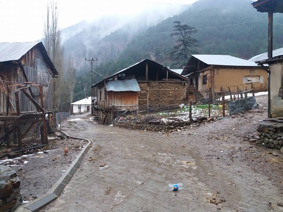 Adana Feke Gürümze Köyü Resimleri 14