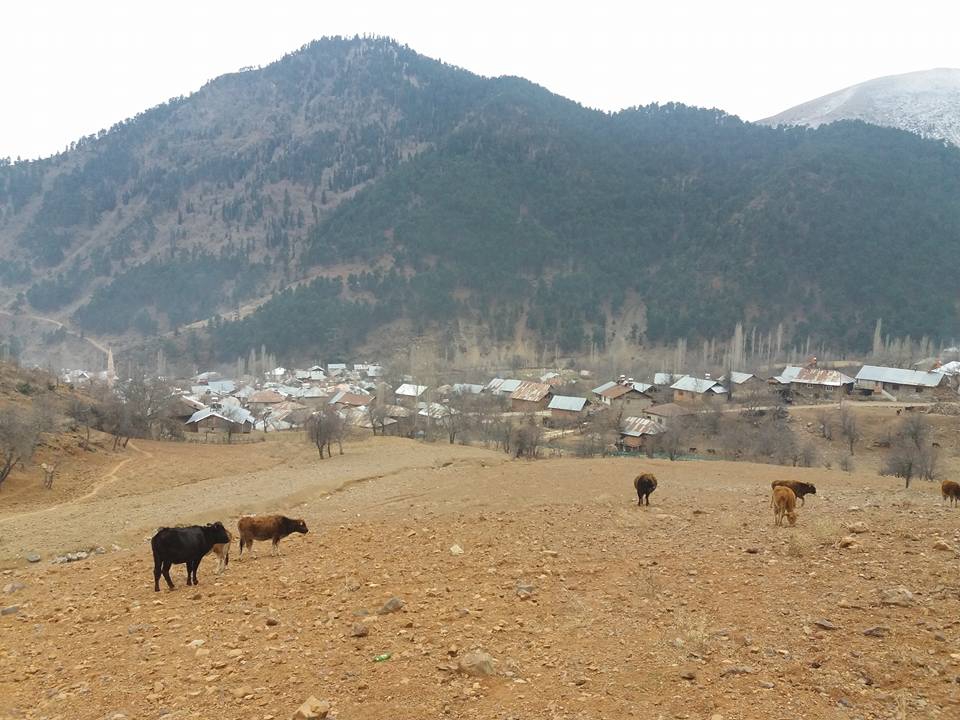 Adana Feke Gürümze Köyü Resimleri 18
