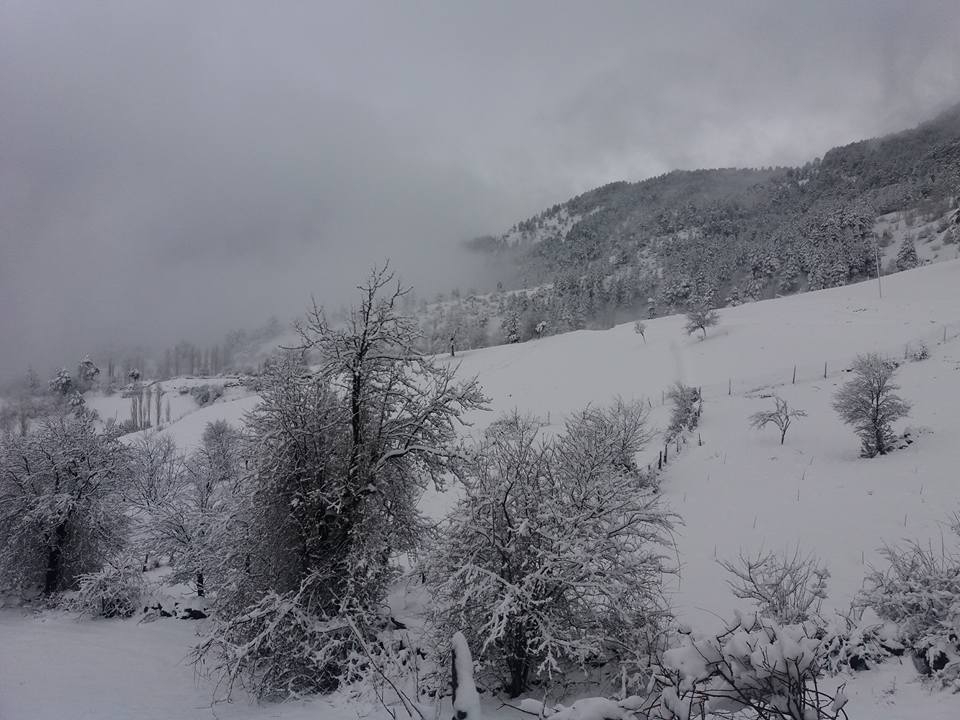 Adana Feke Gürümze Köyü Resimleri 2