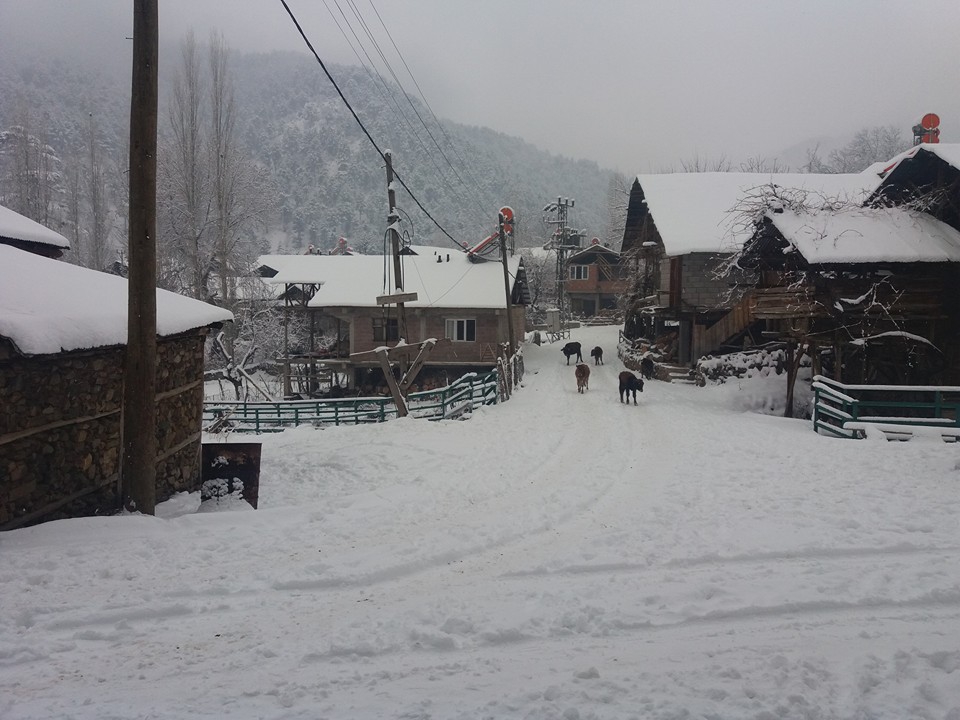 Adana Feke Gürümze Köyü Resimleri 20