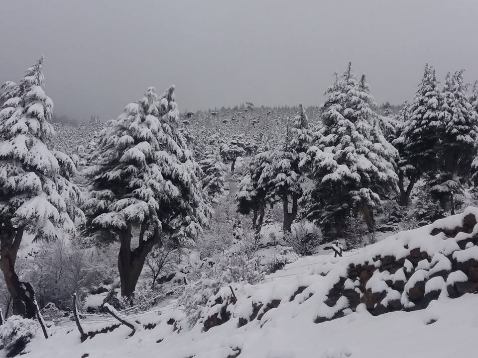 Adana Feke Gürümze Köyü Resimleri 3