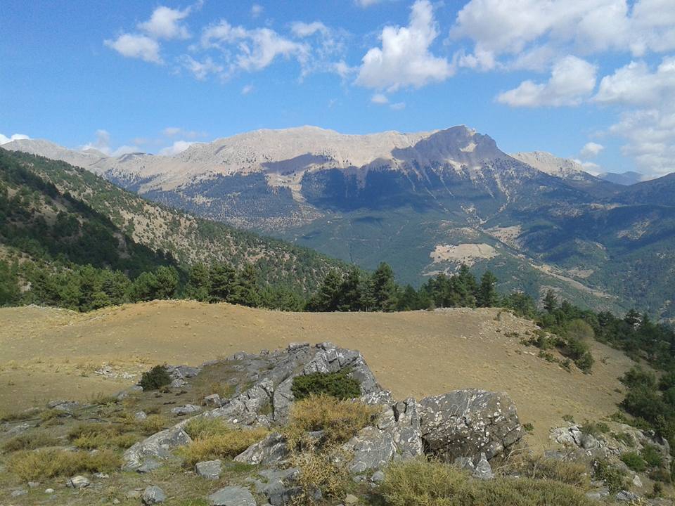 Adana Feke Gürümze Köyü Resimleri 32