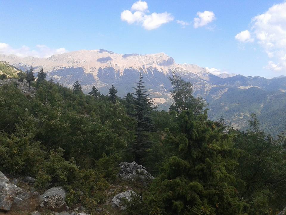 Adana Feke Gürümze Köyü Resimleri 35
