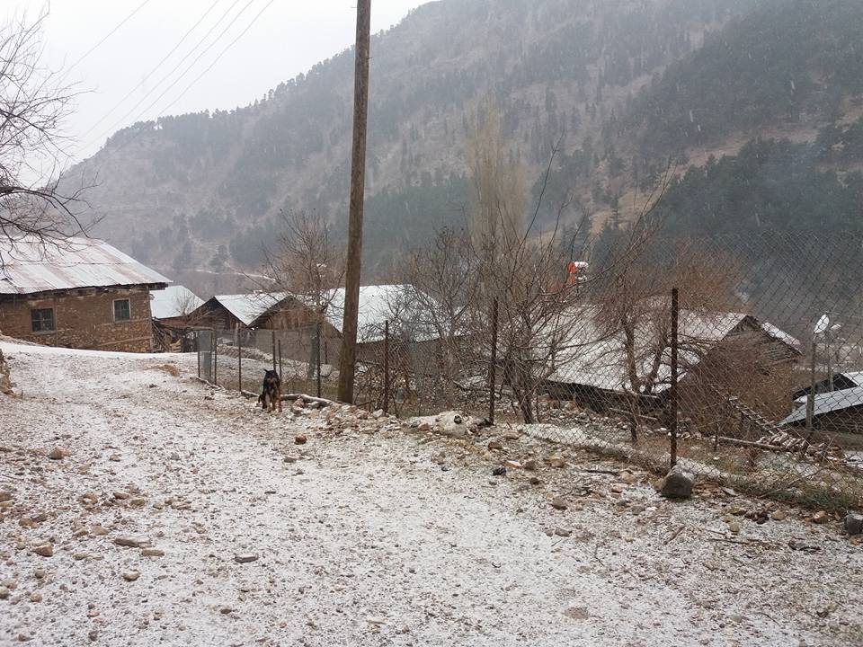 Adana Feke Gürümze Köyü Resimleri 37