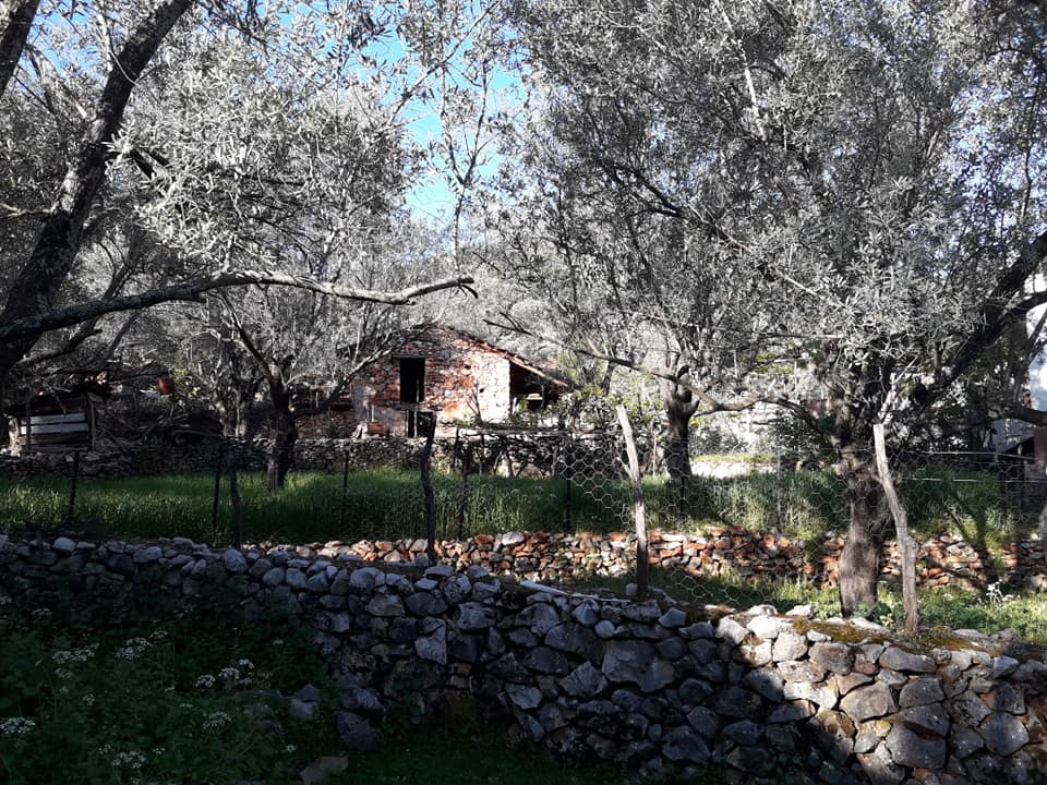 Seydikemer Dodurga Köyü Resimleri 2