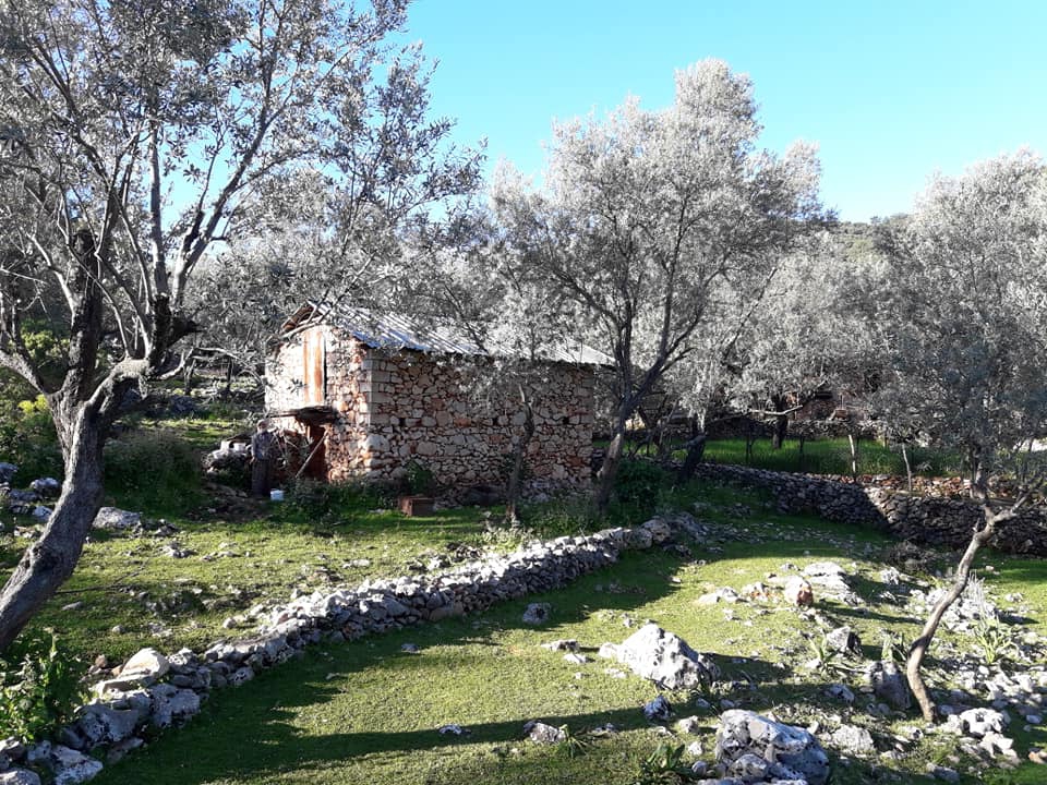 Seydikemer Dodurga Köyü Resimleri 5