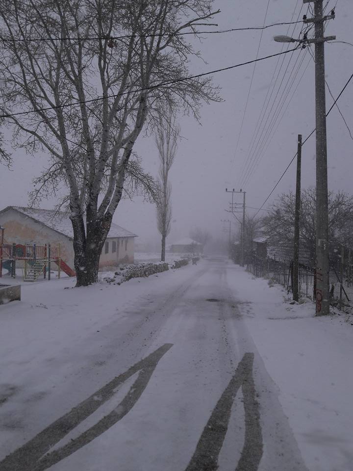 Seydikemer Doğanlar Köyü Resimleri 16
