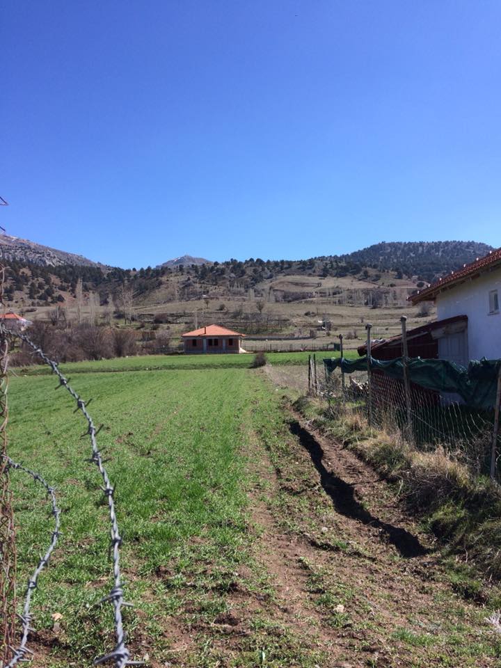 Seydikemer Doğanlar Köyü Resimleri 17