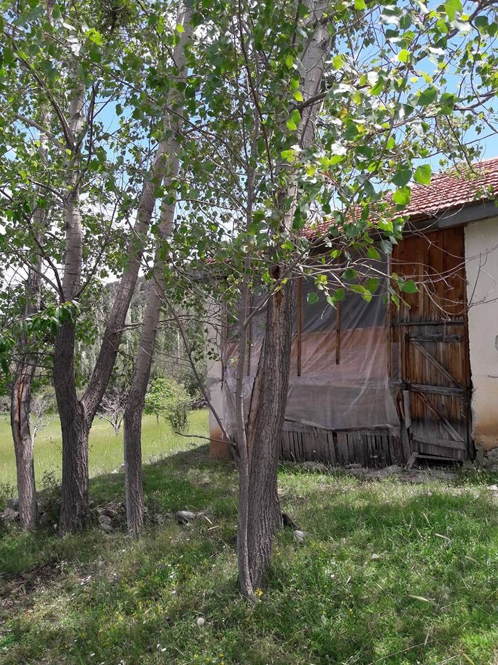 Seydikemer Doğanlar Köyü Resimleri 20