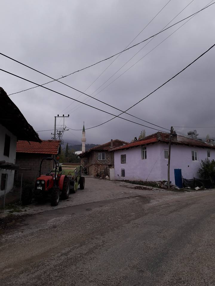 Seydikemer Doğanlar Köyü Resimleri 5