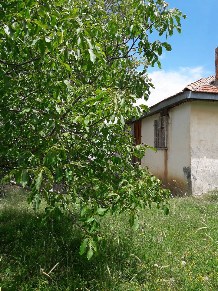 Seydikemer Doğanlar Köyü Resimleri 6