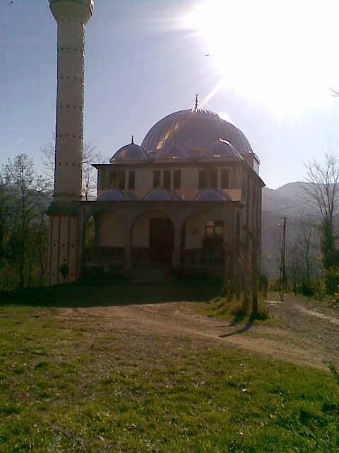 Çamaş Akpınar Köyü Resimleri 1