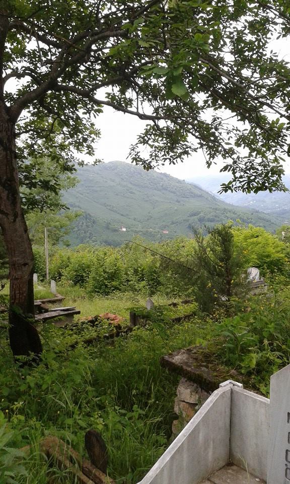 Çamaş Akpınar Köyü Resimleri 3