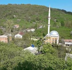 Çamaş Akpınar Köyü Resimleri 5