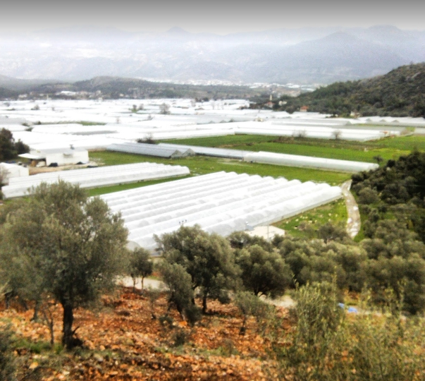 Seydikemer Karaköy Köyü Resimleri 2