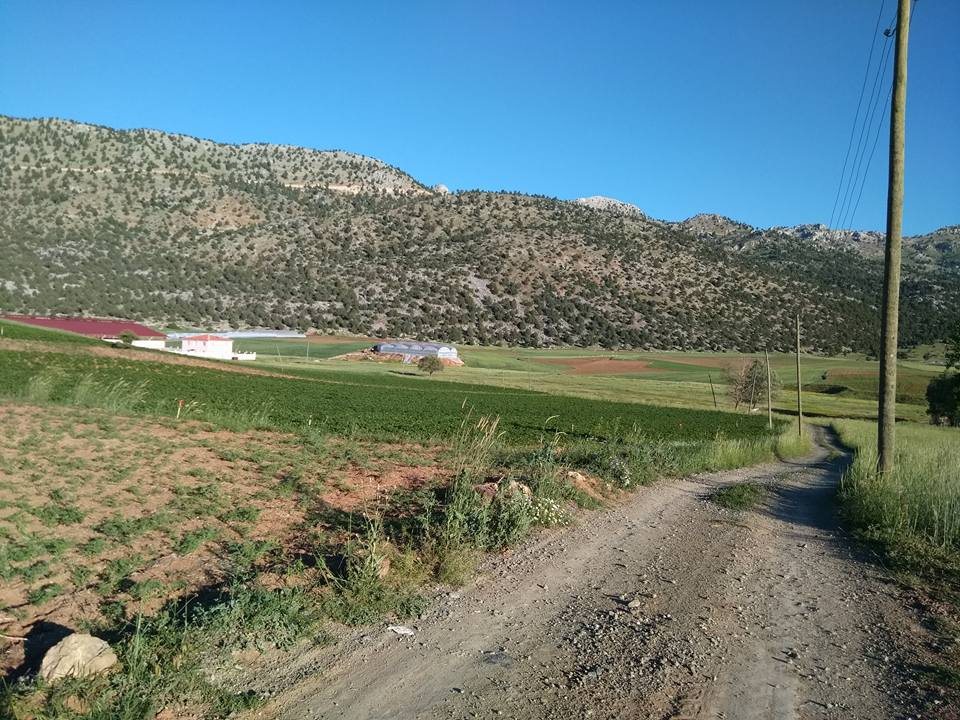 Seydikemer Kayabaşı Köyü Resimleri 5