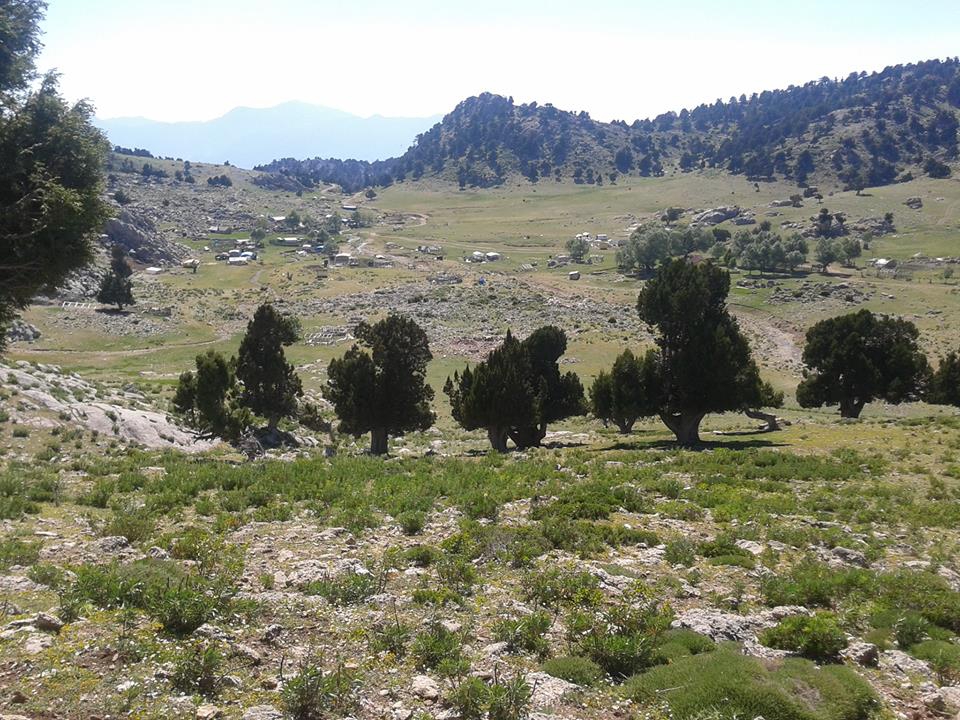 Seydikemer Kayacık Köyü Resimleri 4