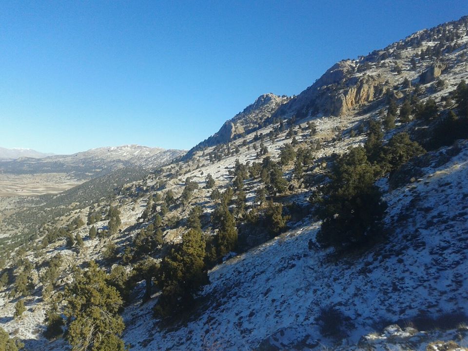 Seydikemer Kayacık Köyü Resimleri 5