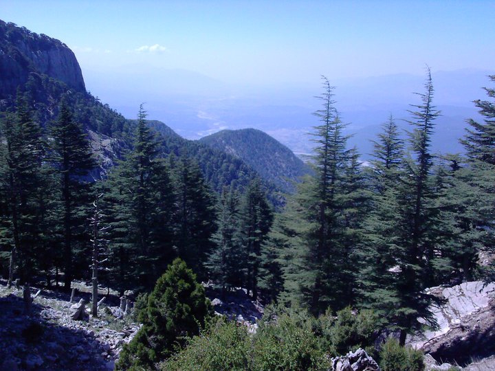 Seydikemer Paşalı Köyü Resimleri 4