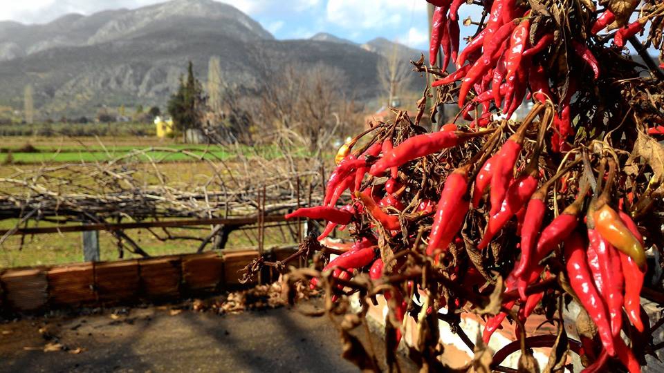 Seydikemer Yakabağ Köyü Resimleri 6