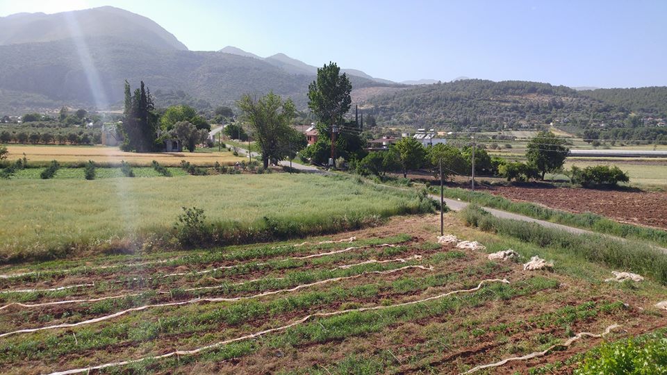 Seydikemer Yakabağ Köyü Resimleri 7