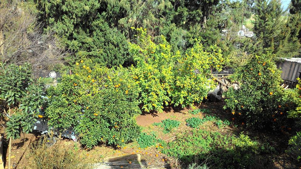 Seydikemer Yakabağ Köyü Resimleri 8