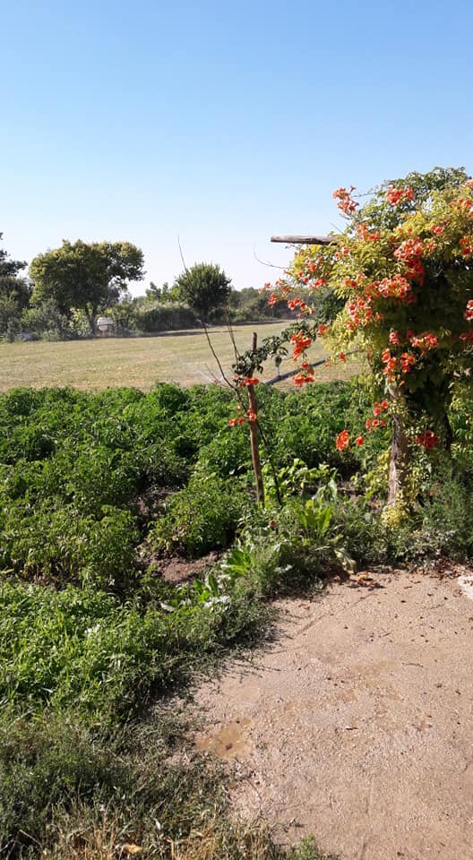 Çumra Beylerce Köyü Resimleri 3