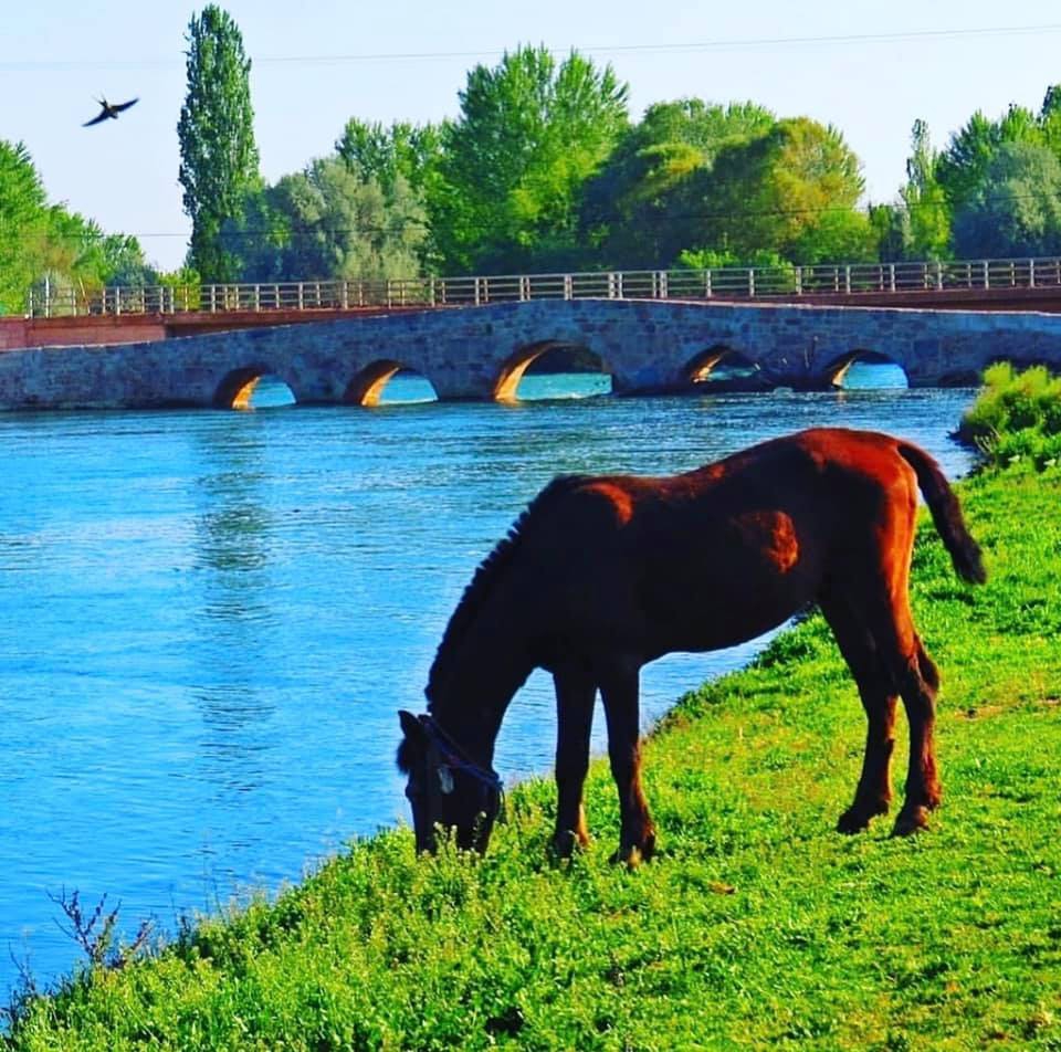 Çumra Dineksaray Köyü Resimleri 5