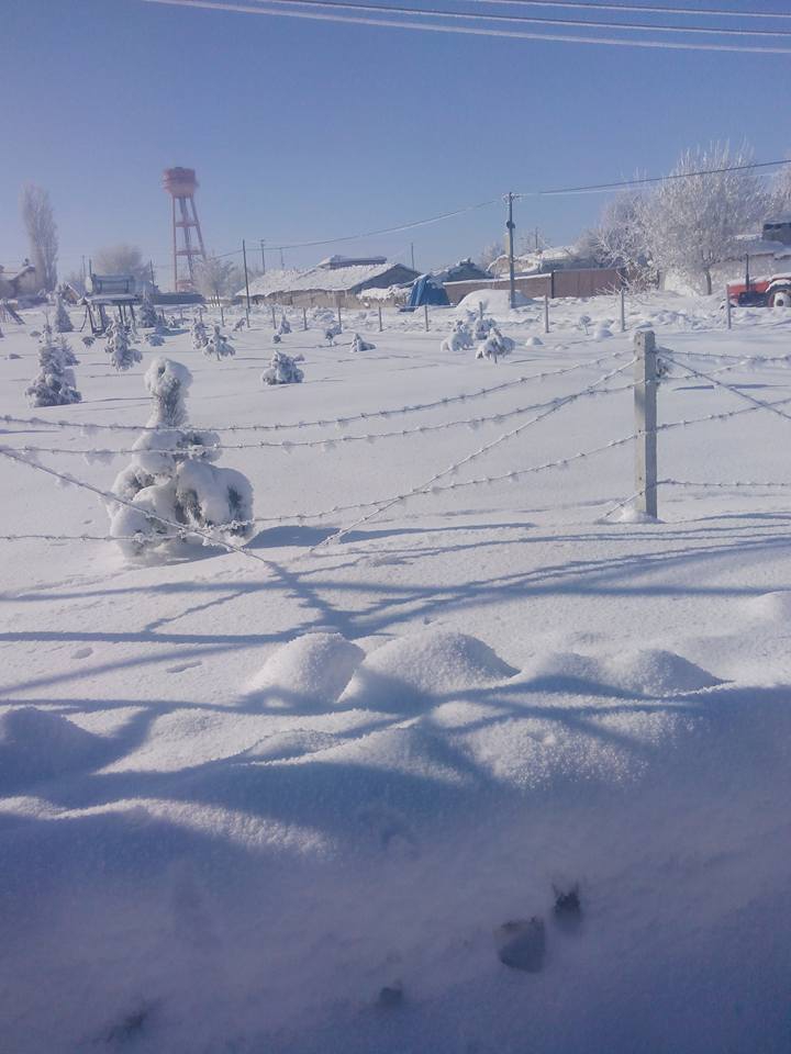 Çumra Fethiye Köyü Resimleri 9