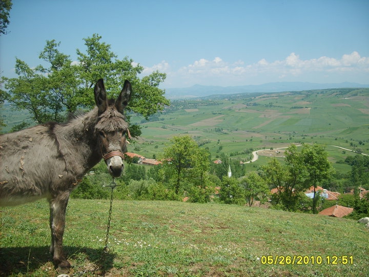 Havza Doğançayır Köyü Resimleri 10