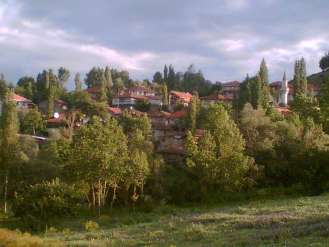 Havza Doğançayır Köyü Resimleri 7